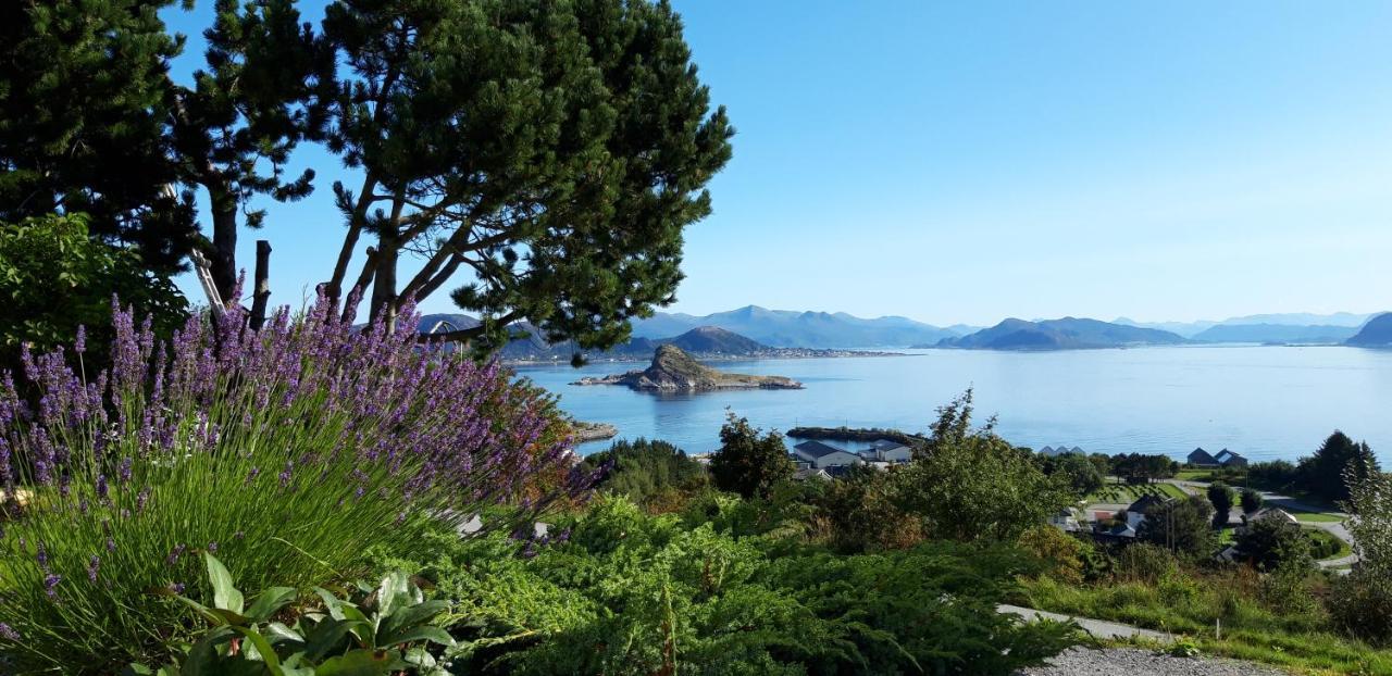 Relaxing Place On Godoya 外观 照片